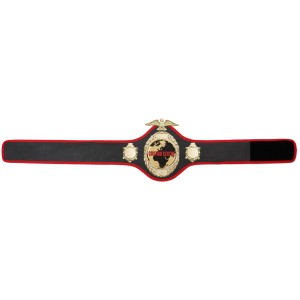 GOLD PRO288 CUSTOM CHAMPIONSHIP BELT  ***BEST SELLER***